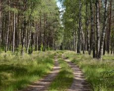 Zdjęcie dla Jak zaplanować weekend na Kaszubach?