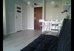 Apartament Bursztynowy-5535