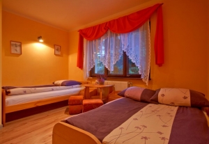 Dom Gościnny Efka Zakopane-3835