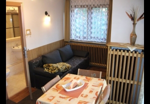 Willa Sezamek ZAKOPANE CENTRUM-4161