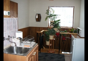 Willa Sezamek ZAKOPANE CENTRUM-4166