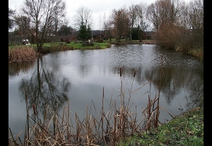 Puszczańskie Siedlisko Urszulanka-4331