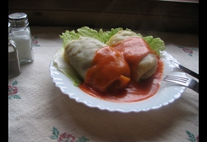 Schronisko PTTK Komańcza im. Ignacego Zatwarnickiego -2605