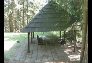 Domki Leśne - blisko zalew-4754