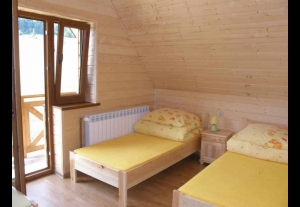 DOMKI BIESZCZADY-2937