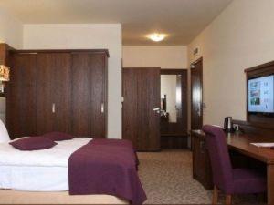 Hotel Mercure Krynica Zdrój Resort&SPA-5962