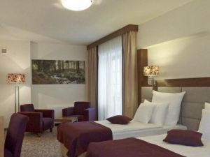 Hotel Mercure Krynica Zdrój Resort&SPA-5964
