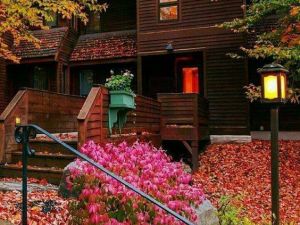 Willa Silesia w Wisle-6018